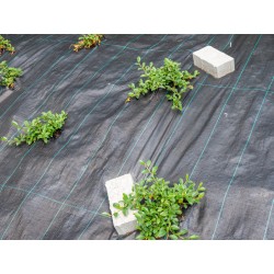 TOILE DE PAILLAGE VERTE 130 GR / M² - ROULEAU 1,25X25 M