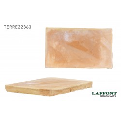 CARREAUX DE TERRE CUITE REEDITION 22X36X3 CM