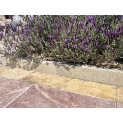 BORDURE BD TRAVERTIN BEIGE 50X8X8CM - MIX 1